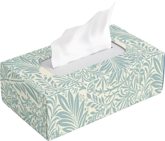 100ct Facial Tissue